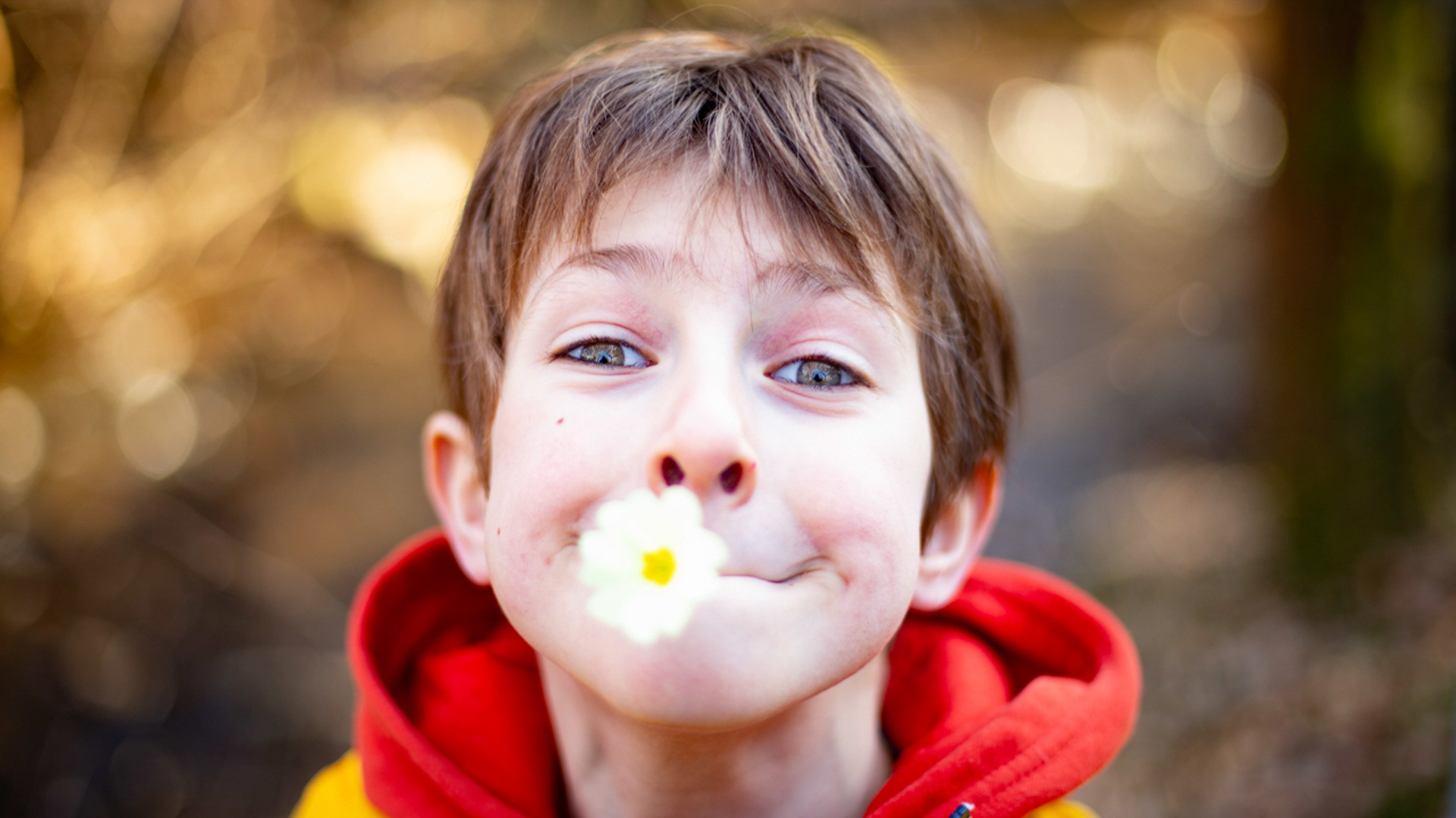 Gros plan d'un jeune garçon aux cheveux châtains clairs et aux yeux bleus, souriant avec une petite fleur blanche tenue dans sa bouche, sur un fond extérieur flou.